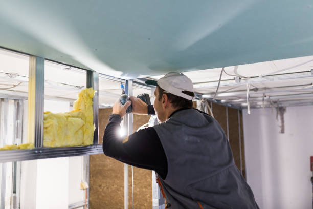 Best Specialized Insulation Services in Lac Du Flambeau, WI