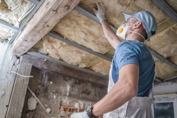 Best Insulation Maintenance and Repair in Lac Du Flambeau, WI