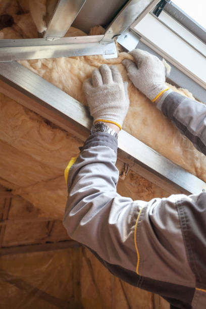 Best Geographic-Specific Insulation Services in Lac Du Flambeau, WI